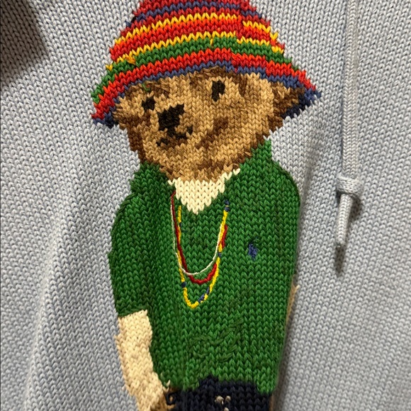 Polo by Ralph Lauren Light Blue Hooded Sweater with Embroidered Design - Picture 2 of 3